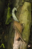 Elven Throwing Knife Holder - Brown