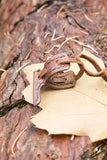 Holster Hook - Brown
