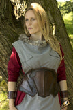 Dark Elf Corset - Dark Brown - Brown