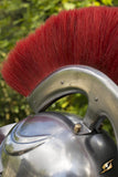 Roman Trooper w. Plume - Red - Medium