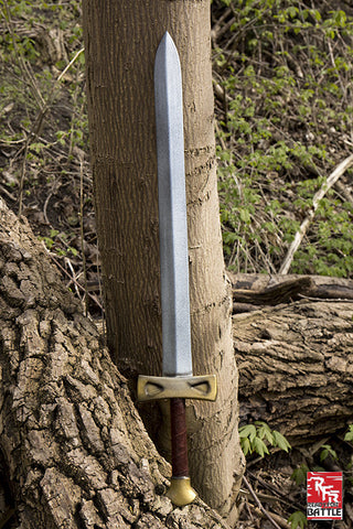Ready For Battle Sword Knight