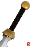Ready For Battle Sword Roman