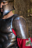 Spartan Pauldrons - L / XL
