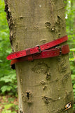 Sword Belt - Red