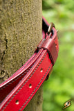 Sword Belt - Red