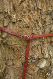 Belt Godfrey - Red - 170cm